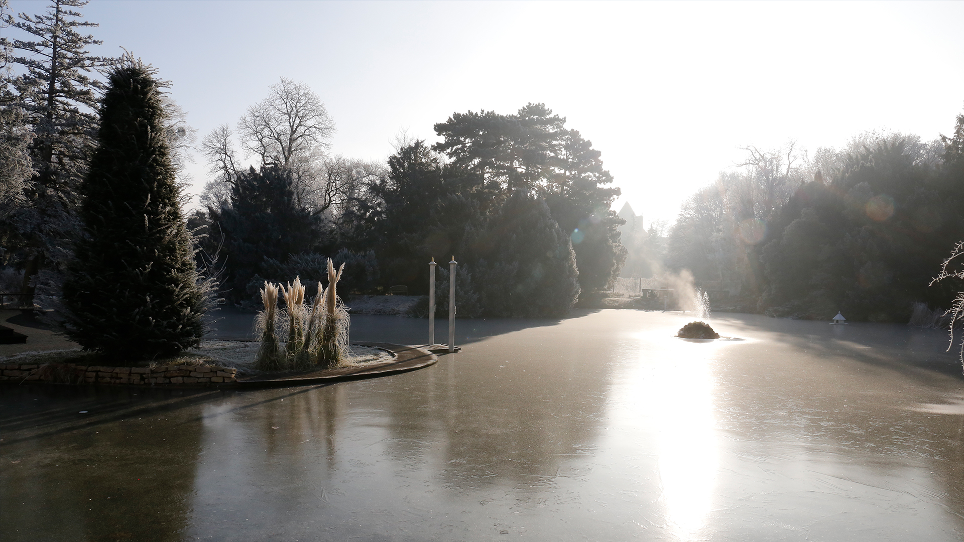 Schloss Schönau auf Ice-Wedding.at 2